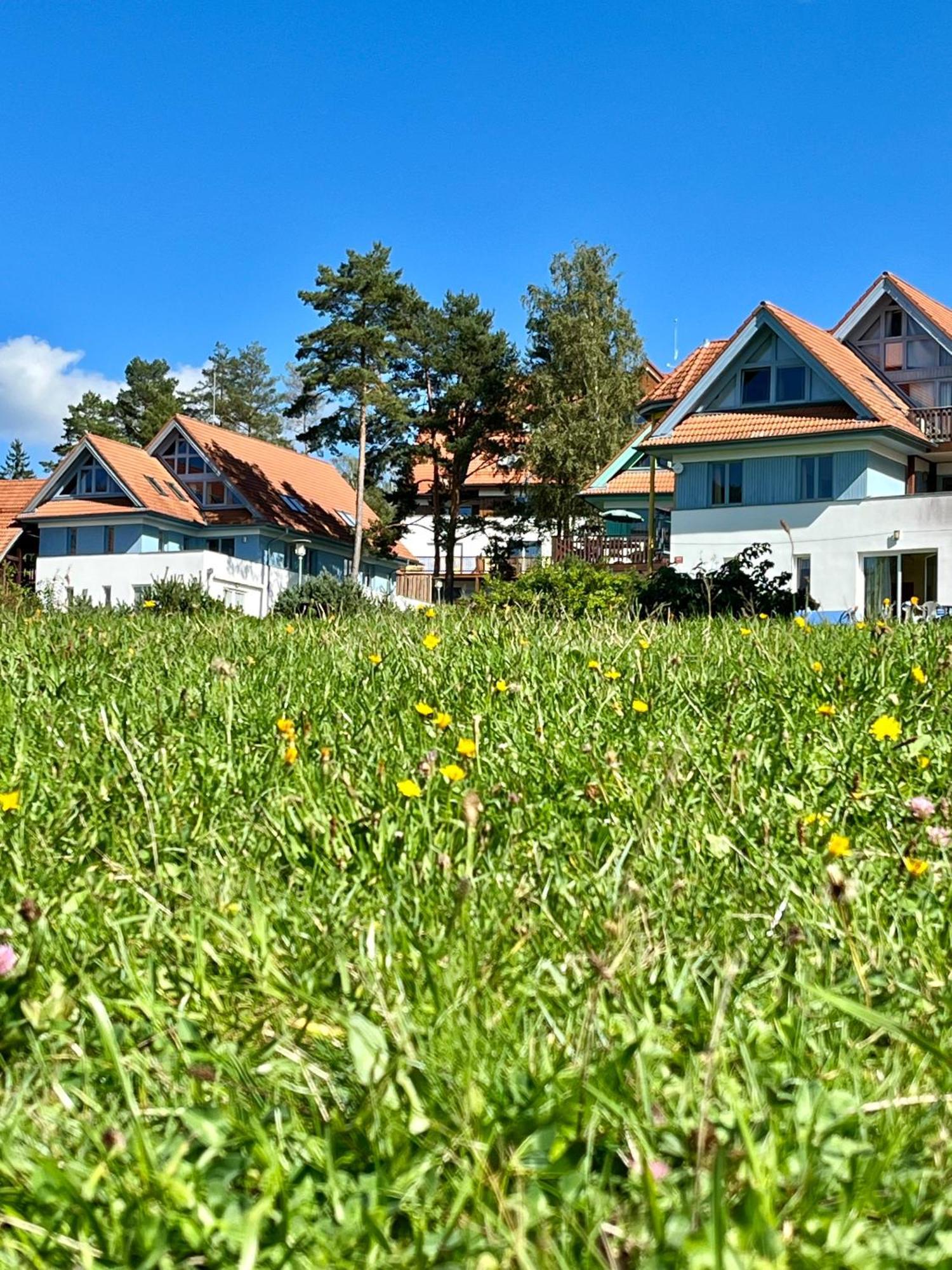 Lipno Beach Apartment Lipno nad Vltavou Εξωτερικό φωτογραφία